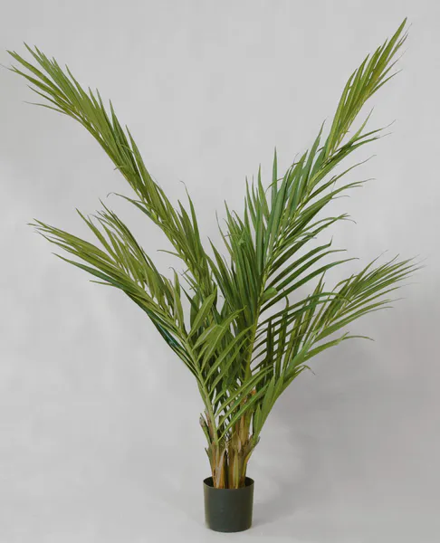 Hovedbilde Kunstig Majesty Palm 150 cm