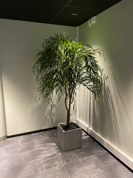 Hovedbilde Kunstig Willow - Kunstig sørgepil 200 cm