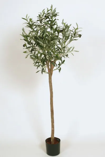 Hovedbilde Kunstig Oliventre med tynn stamme, 115 cm